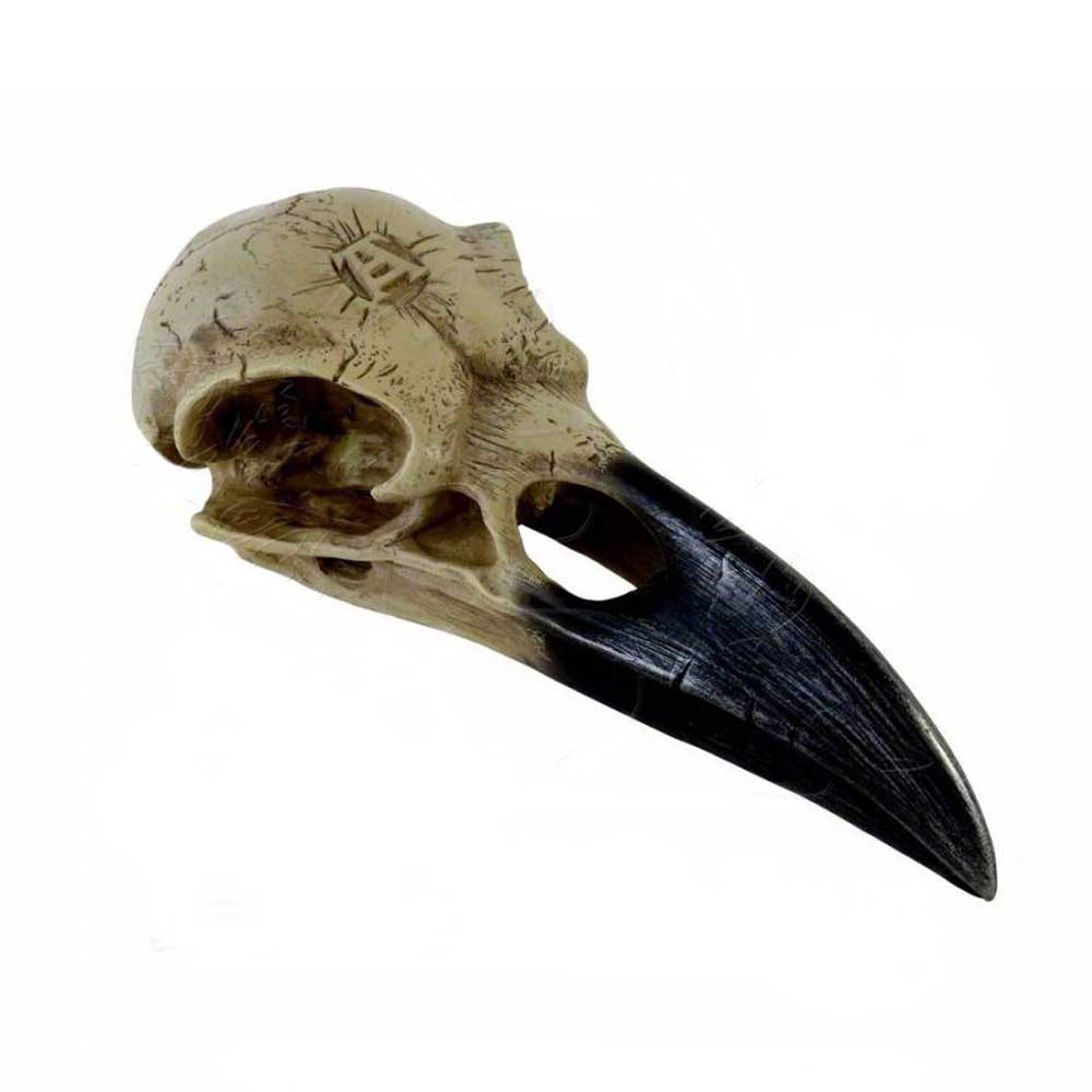 Alchemy - Corvus Alchemica skull Dekorative Figur - Beige